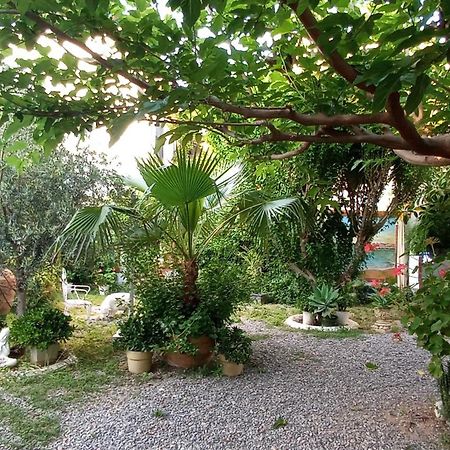 Casa Con Jardin Frente Playa De Burriana Villa Phòng bức ảnh