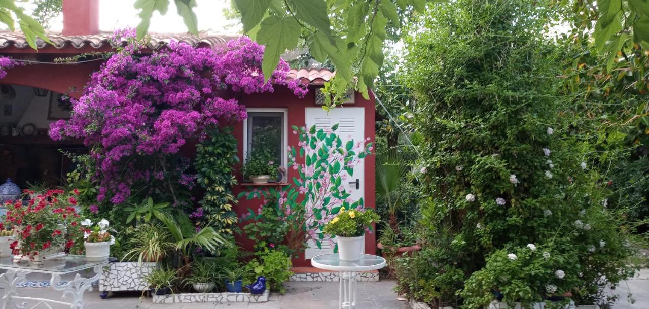 Casa Con Jardin Frente Playa De Burriana Villa Ngoại thất bức ảnh