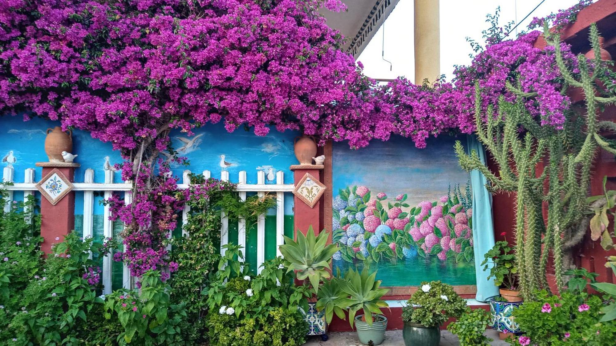 Casa Con Jardin Frente Playa De Burriana Villa Phòng bức ảnh