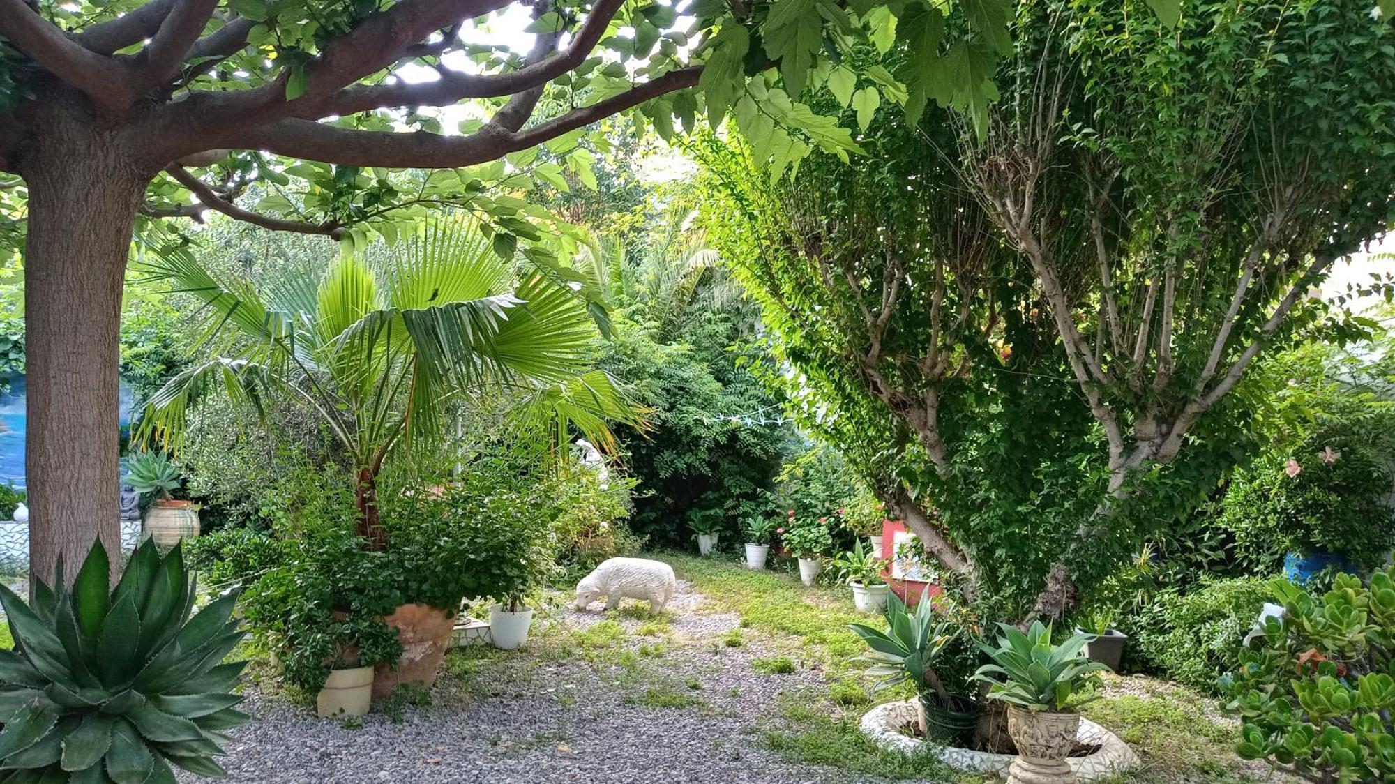 Casa Con Jardin Frente Playa De Burriana Villa Phòng bức ảnh