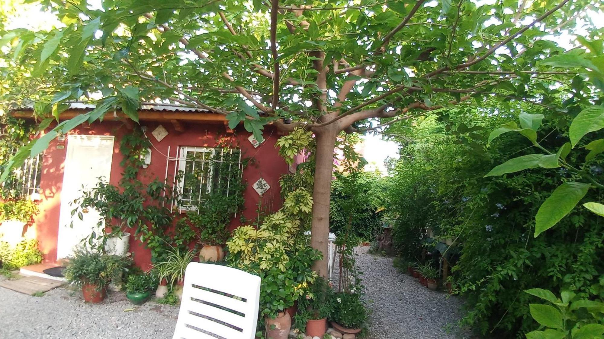 Casa Con Jardin Frente Playa De Burriana Villa Phòng bức ảnh