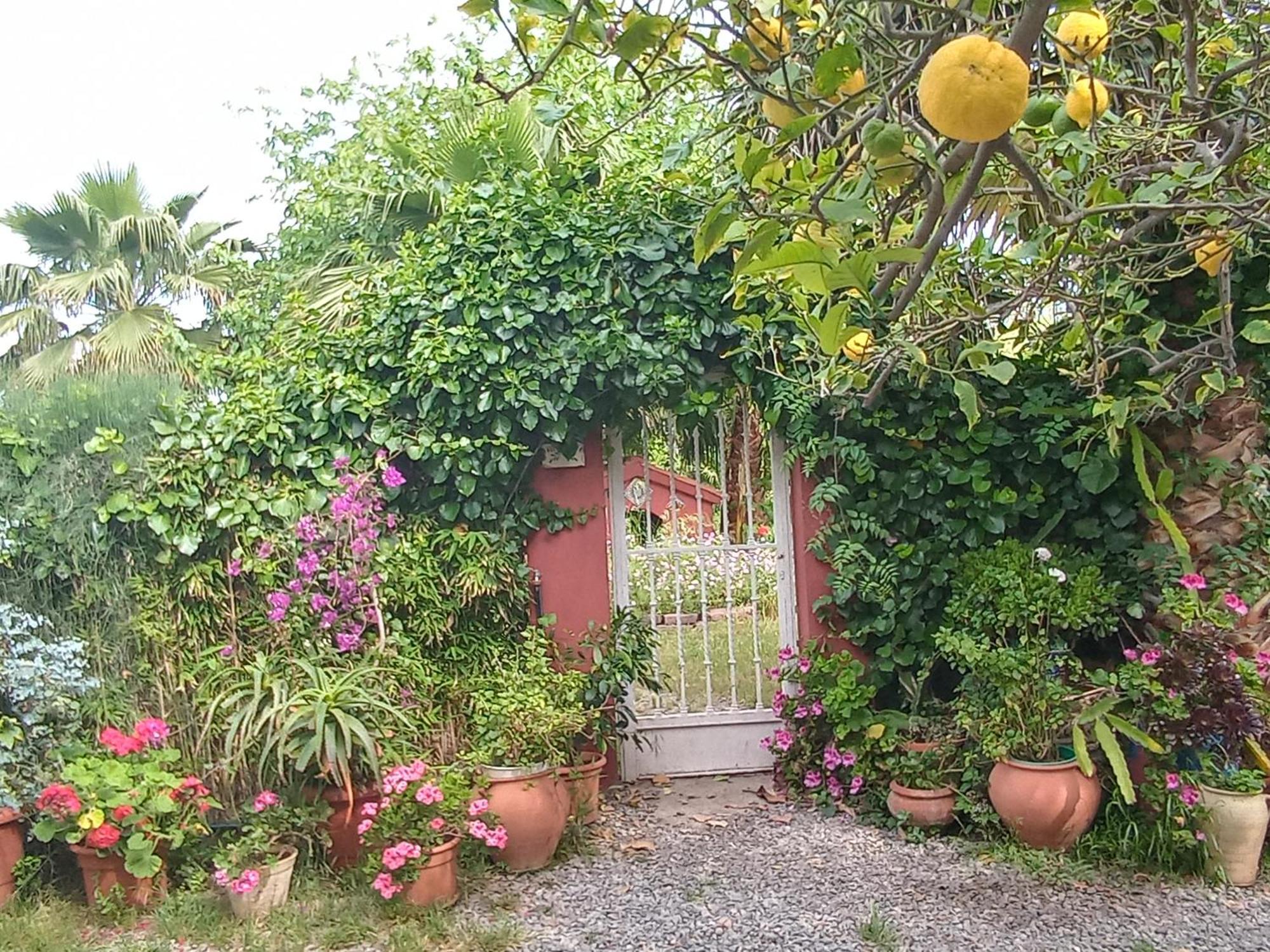 Casa Con Jardin Frente Playa De Burriana Villa Phòng bức ảnh