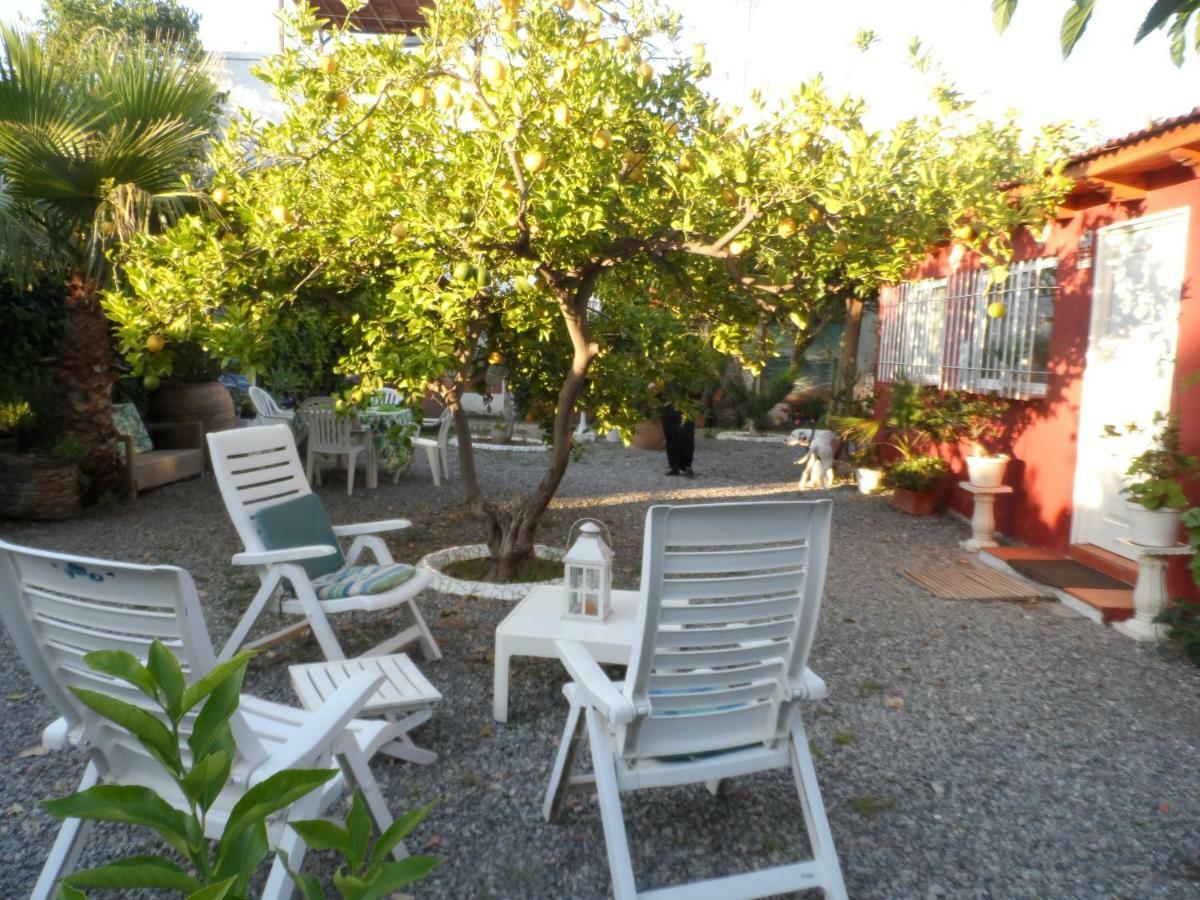 Casa Con Jardin Frente Playa De Burriana Villa Ngoại thất bức ảnh